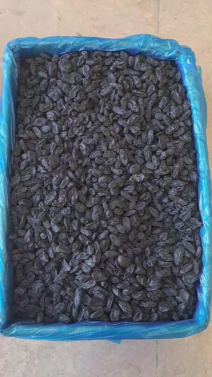 مویز ازبک|خوردنی و آشامیدنی|مشهد, پارک کوهستان|دیوار