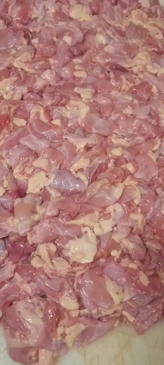 بچه فیله|خوردنی و آشامیدنی|تهران, شهرک دریا|دیوار