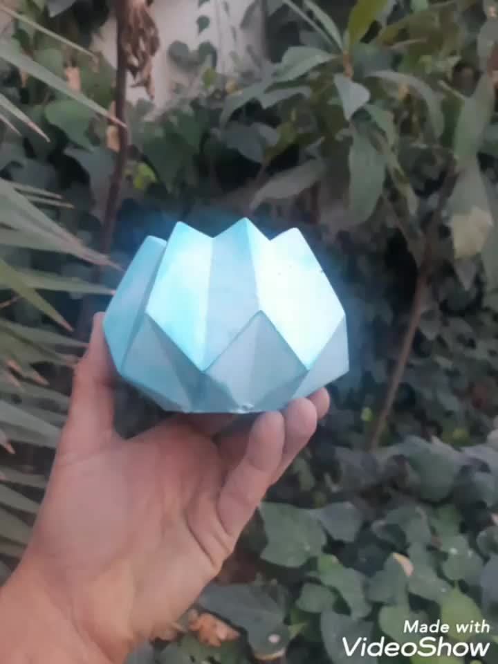 گلدان بتنی وقالب تولید|گل و گیاه طبیعی|پیر بکران, |دیوار