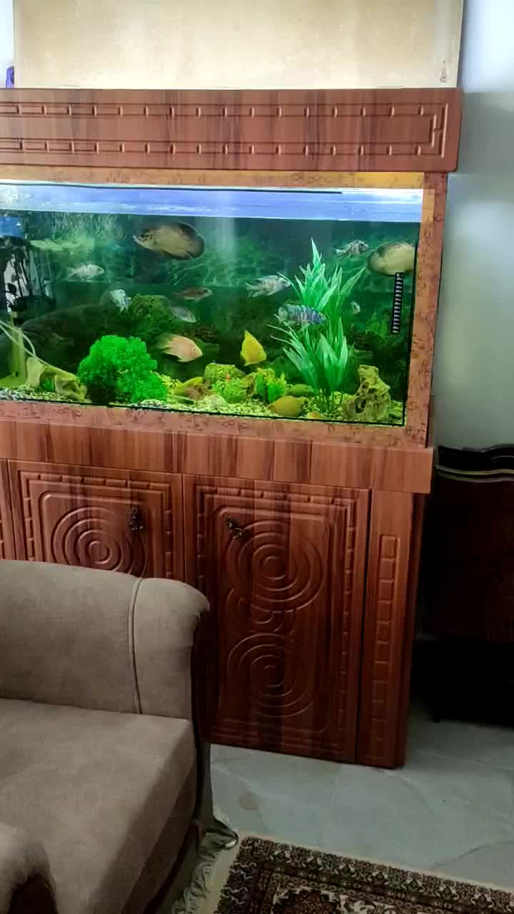آکواریوم همراه کلبه وماهی ومطعلقات|ماهی|ضیاء آباد, |دیوار