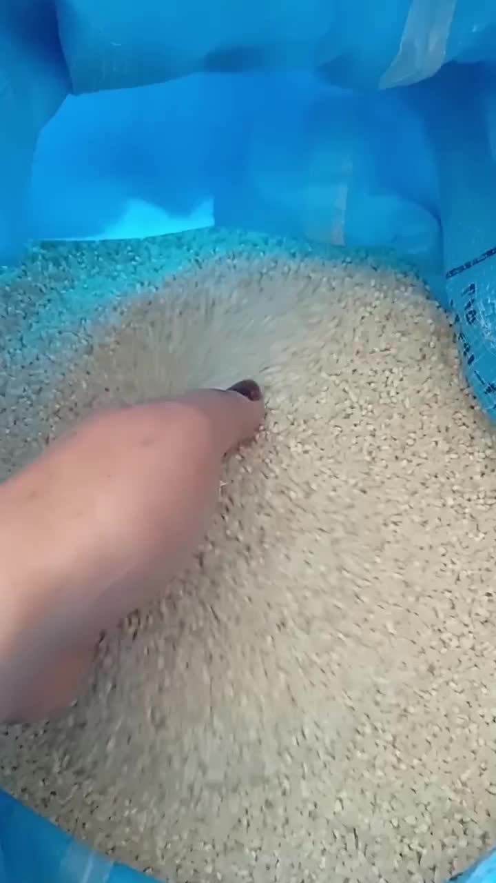 برنج نیم دونه هاشمی ۲۰کیلو۲۸۰۰|خوردنی و آشامیدنی|رشت, یخسازی|دیوار