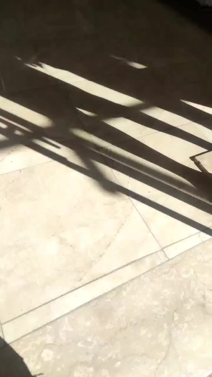 تولید و پخش پوشاک مهیار هم عمده هم تکی مردانه|لباس|ورامین, ورامین|دیوار