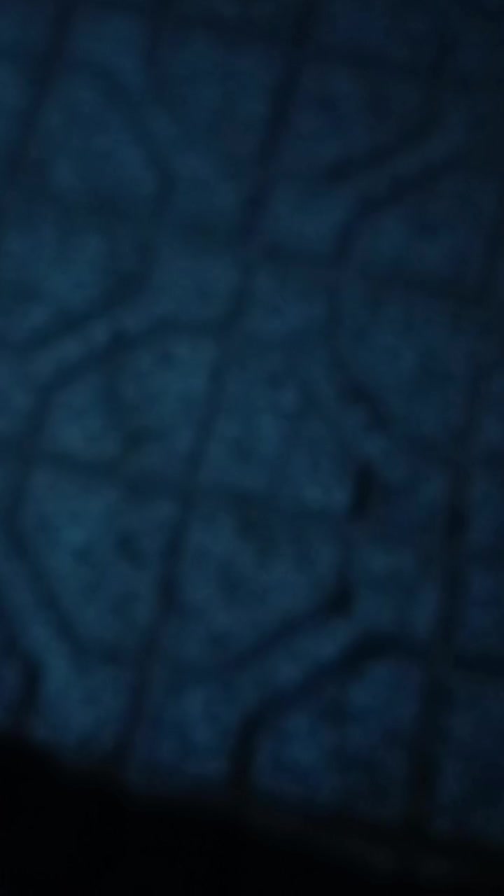 معدل 84 پیشتاز پلاک ملی پنج دنده|موتورسیکلت|جنگل, |دیوار