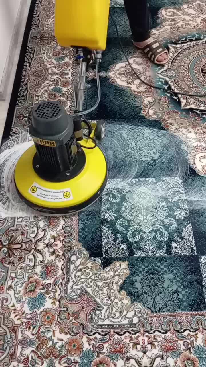 شستشوی تخصصی مبل و فرش|خدمات نظافت|نمین, |دیوار