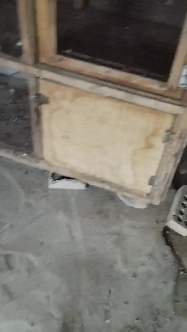 چیز مفت نیست نگرد نیست|لوازم جانبی حیوانات|گنبد کاووس, |دیوار