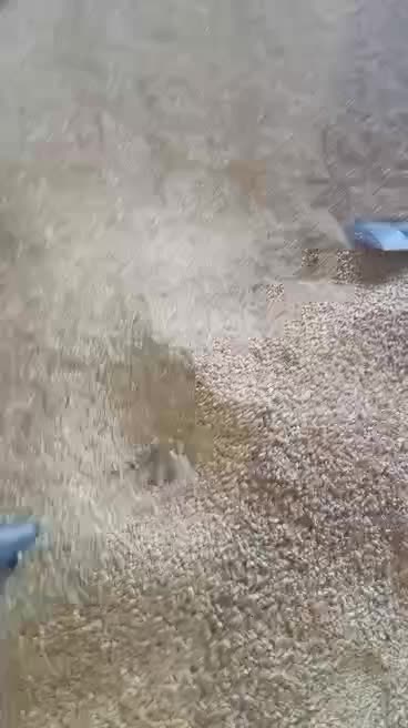 بالابر برای مرغداری پرنده سیلو جت فن|ماشینآلات صنعتی|کمیجان, |دیوار