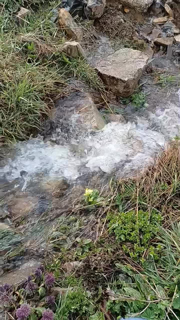 مسافرت|فعالیت داوطلبانه|اهر, |دیوار