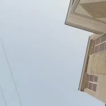 واگذاری سگ پاپی|سگ|خمینیشهر, |دیوار