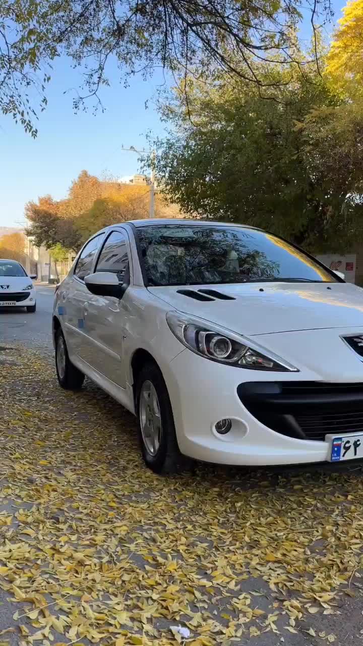 207 پانا 401|خودرو سواری و وانت|بجنورد, |دیوار