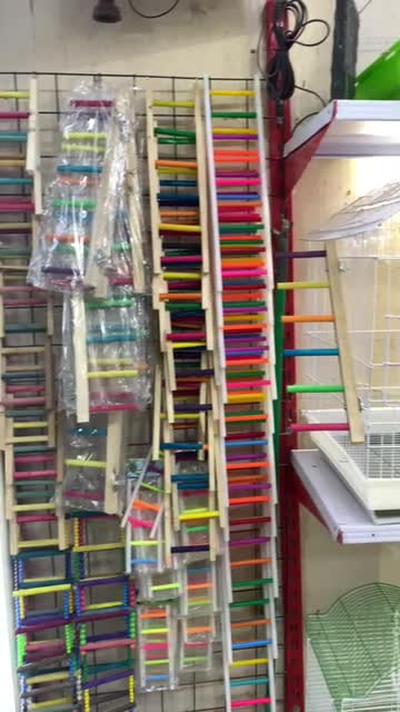 قفس پرنده|لوازم جانبی حیوانات|اهواز, آریاشهر|دیوار