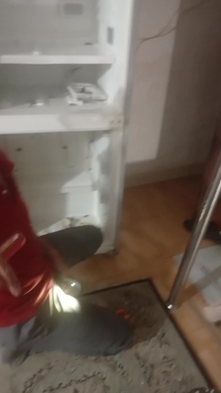 یخچال فریزر سینجر|یخچال و فریزر|اندیشه, اندیشه فاز ۶|دیوار