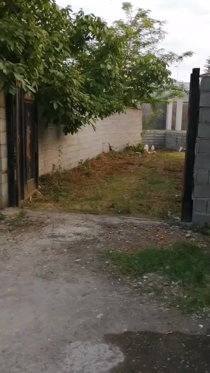 زمین مسکونی با پروانه ساخت در طاهرگوراب|فروش زمین و ملک کلنگی|طاهرگوراب, |دیوار