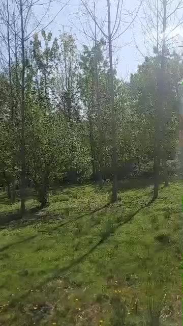 زمینی مسکونی در روستای شالما و روستای گنجار|فروش زمین و ملک کلنگی|احمدسرگوراب, |دیوار