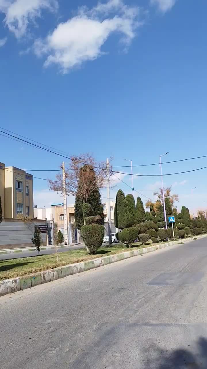 هرس کاری درختان سرو .لافسون .شمشاد باغ وویلا|خدمات باغبانی و درختکاری|مبارکه, |دیوار
