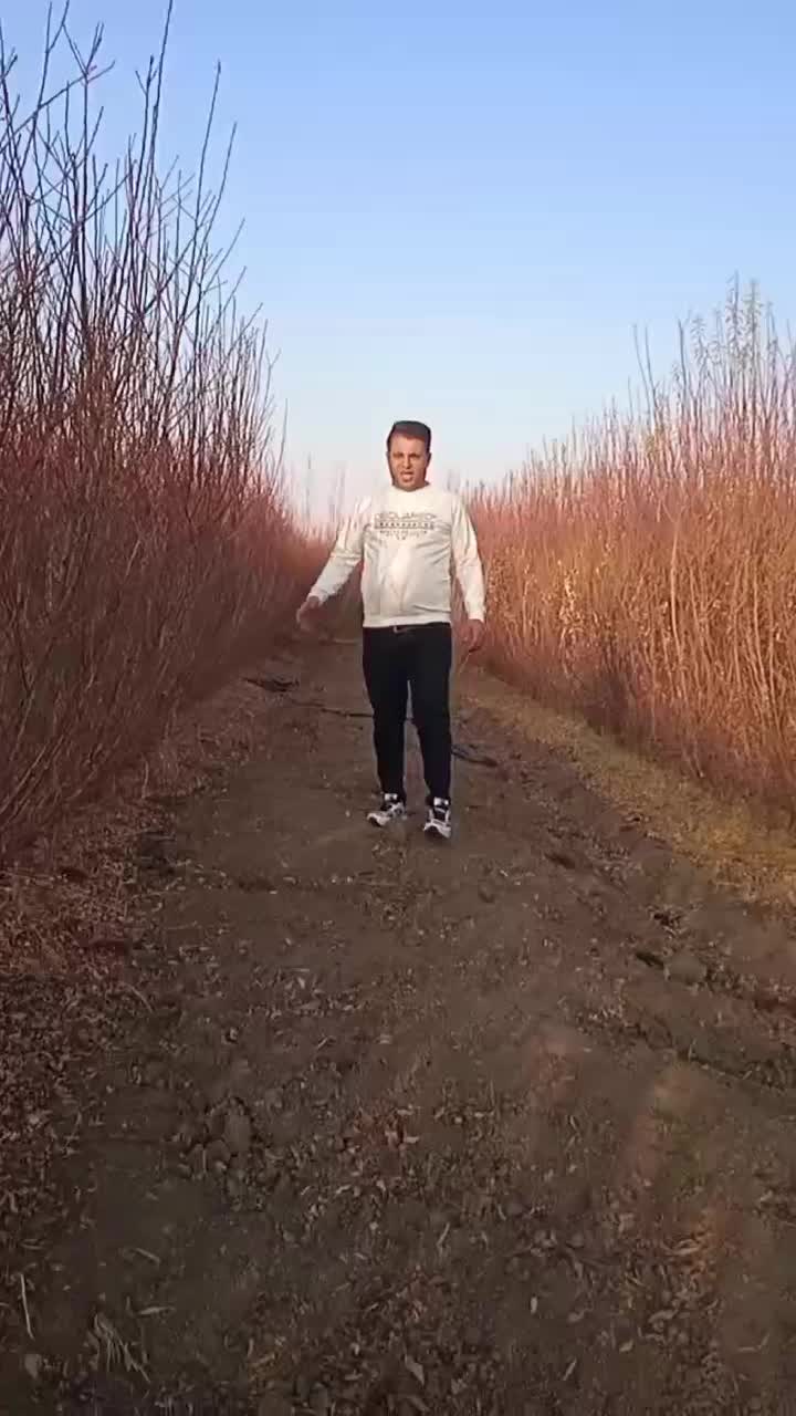 شلیل و بادام  نهال های درجه یک|خدمات باغبانی و درختکاری|خمین, |دیوار