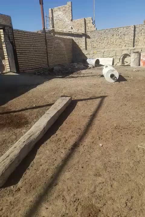 مرغ تخم گزار|حیوانات مزرعه|پیشخور, |دیوار