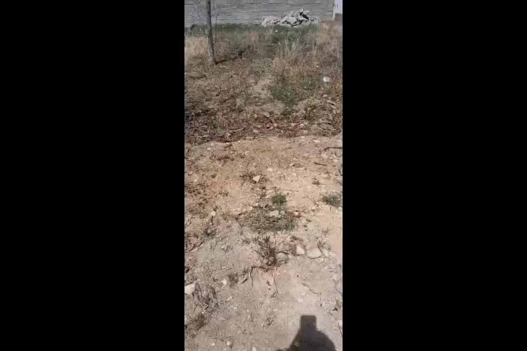 زمین با جواز ساخت ...روستای خور تاپ لوکیشن|فروش زمین و ملک کلنگی|آسارا, |دیوار