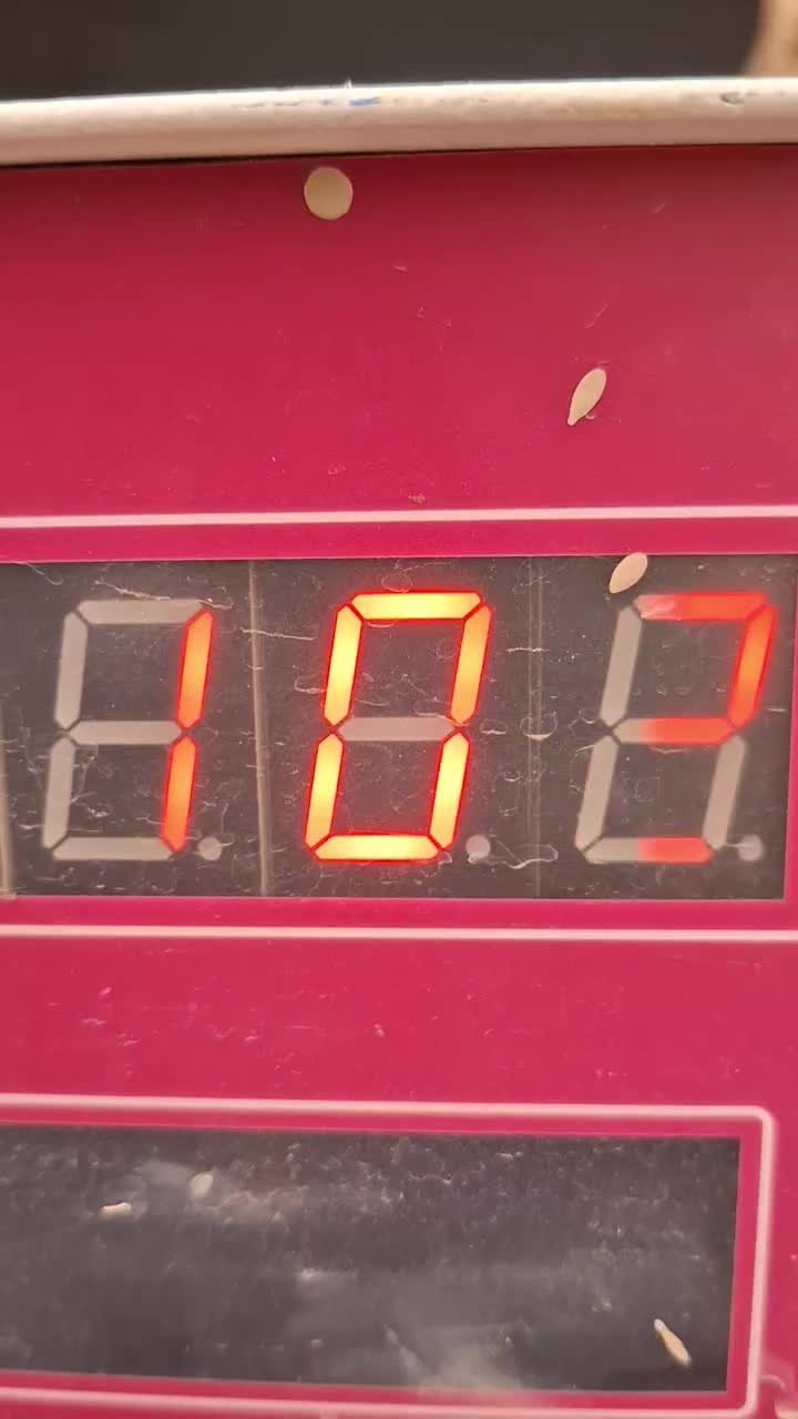 گلدان دستساز بونسای|صنایع دستی و سایر لوازم تزئینی|مشهد, میعاد (شهرک غرب)|دیوار