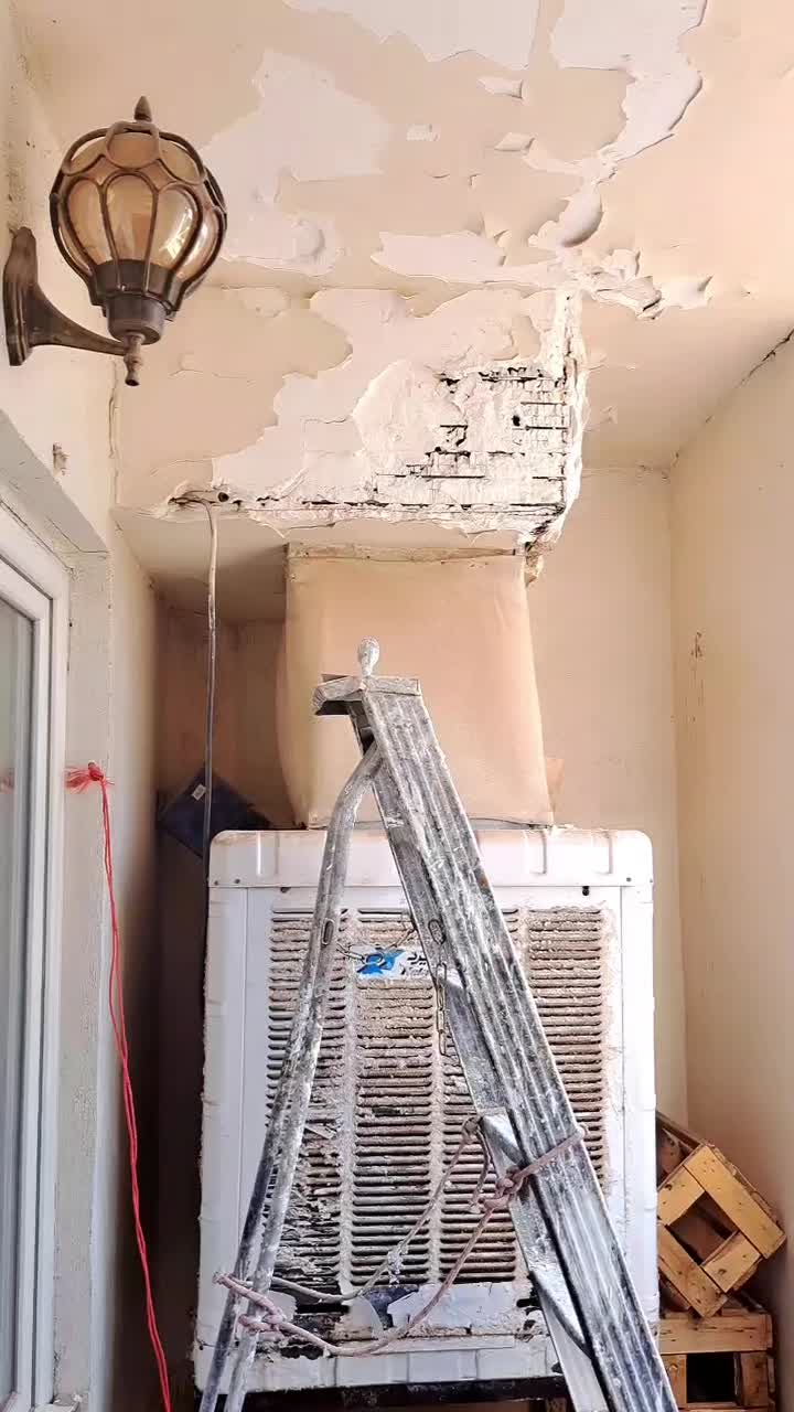 نقاشی ساختمان و طرح کاغذ دیواری|خدمات پیشه و مهارت|کاشمر, |دیوار