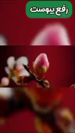 چای،روغن ودمنوش|آرایشی، بهداشتی، درمانی|قم, ناصردیوان|دیوار