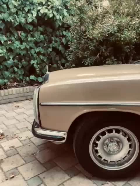 بنز معماری200مدل 1975دیزل فابریک|خودرو کلاسیک|ساری, |دیوار