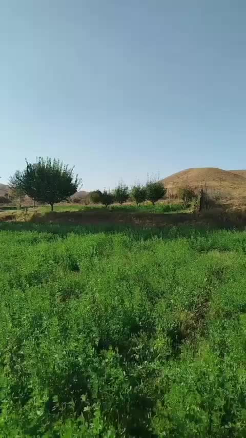 فروش زمین کشاورزی بهر جاده اصلی بین المللی|فروش زمین و ملک کلنگی|آبگرم, |دیوار