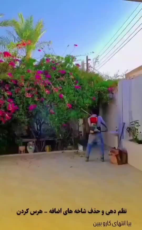 انجام کلیه کارهای باغبانی و کارهای باغچه خونه ها|خدمات نظافت|رامهرمز, |دیوار