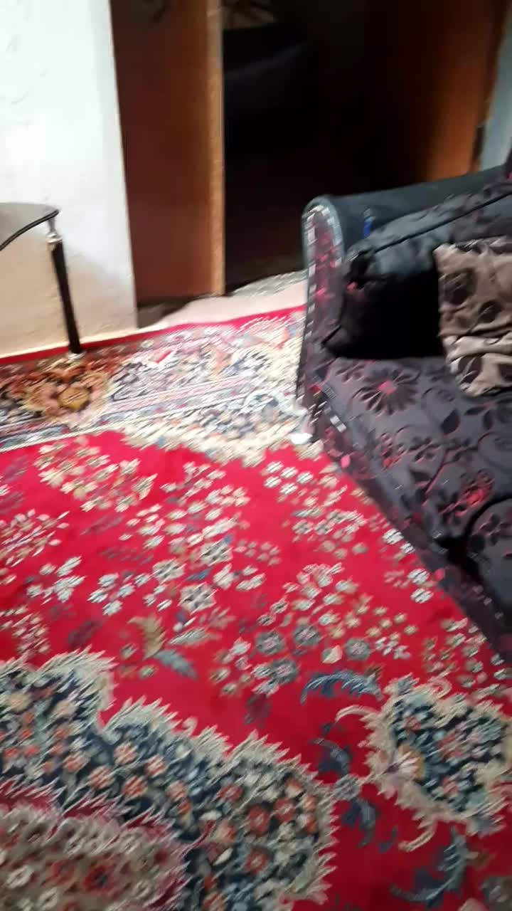 اجاره روزانه/هفتگی/ماهانه آپارتمان ۶۰ متری|اجارهٔ کوتاهمدت آپارتمان و سوئیت|کرمانشاه, |دیوار