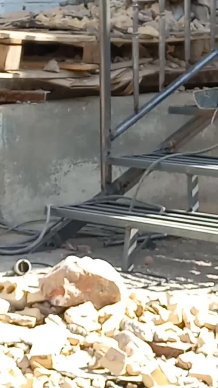 اجرای سقف سبک وغیره|خدمات پیشه و مهارت|نیشابور, فیض آباد|دیوار