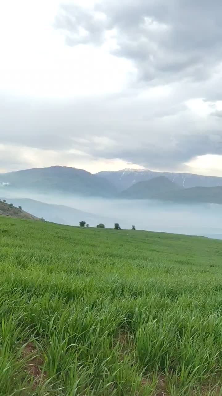 فروش زمین سنددار ساری آب برق گاز|فروش زمین و ملک کلنگی|فریم, |دیوار