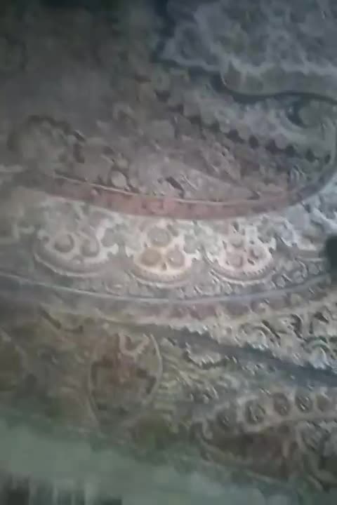 فروشی|آب‌چکان و نظم‌دهنده ظروف|مشهد, کوی المهدی|دیوار