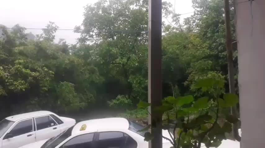 خانه ویلایی|اجارهٔ کوتاه‌مدت ویلا و باغ|املش, |دیوار