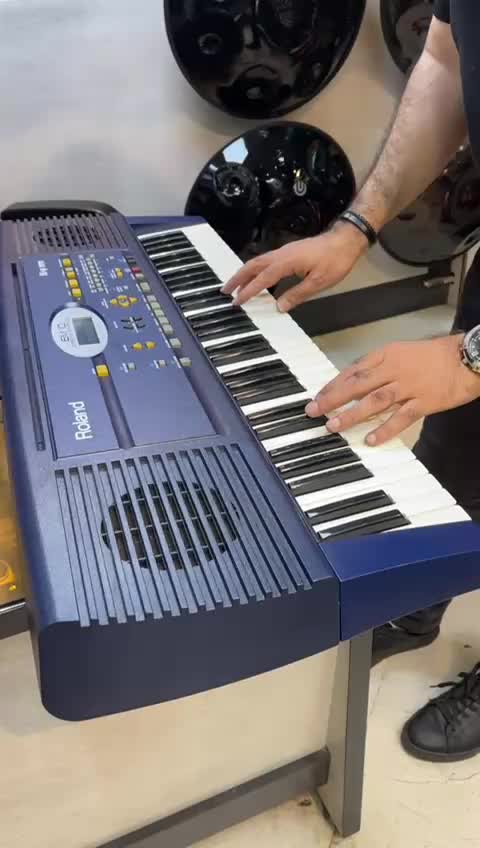 ایتالیایی ROLAND EM-10 آکبند کلکسیونی|پیانو، کیبورد، آکاردئون|تهران, افسریه شمالی|دیوار