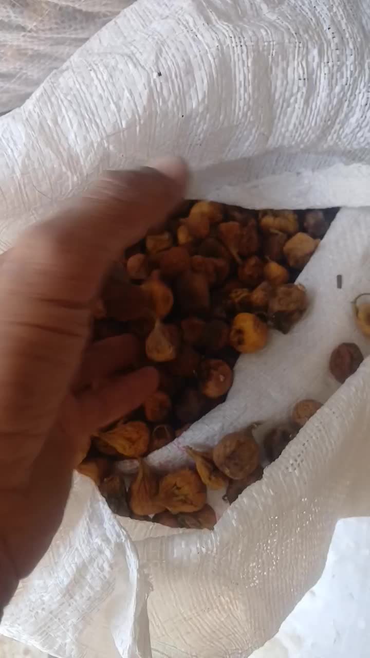 انجیر ضایعات خوب|خوردنی و آشامیدنی|استهبان, |دیوار