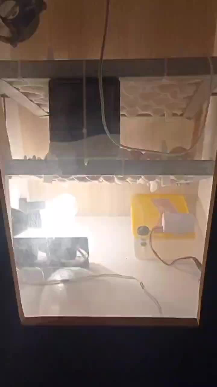 دستگاه جوجه کشی دست ساز|لوازم جانبی حیوانات|قم, میرزائیه|دیوار