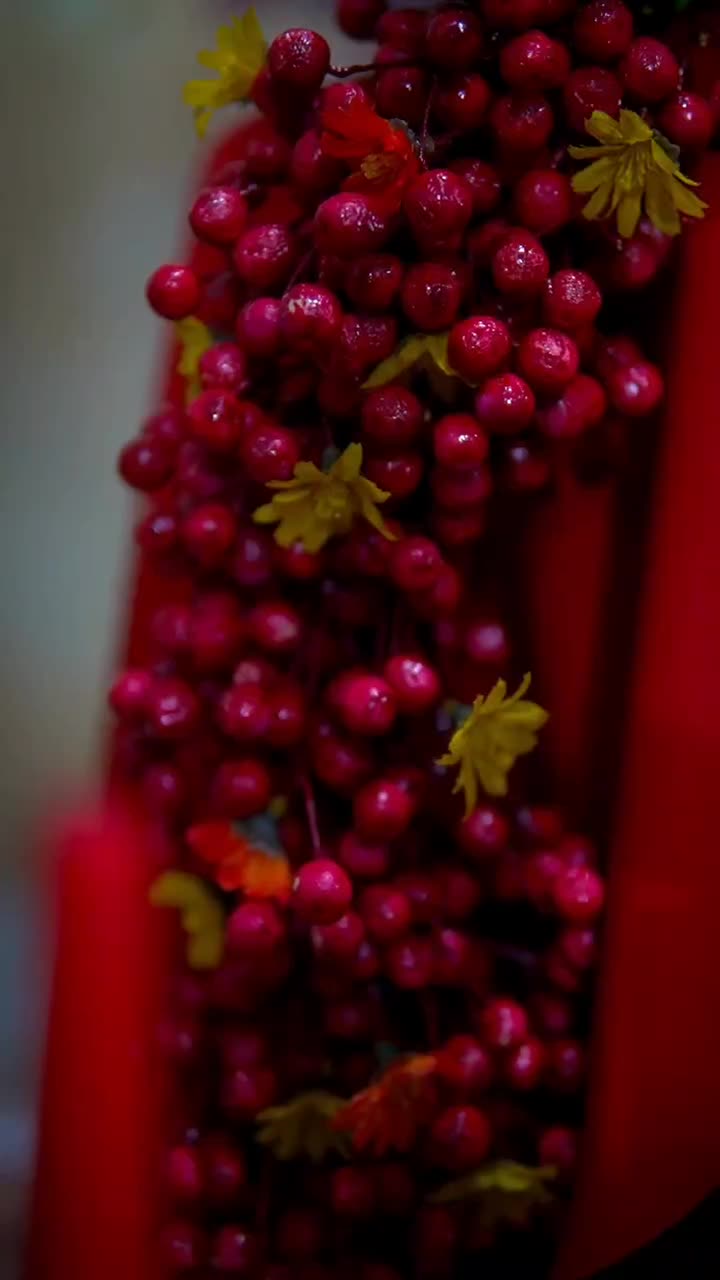 عکس یادگاری در تم یلدایی|تابلو، نقاشی، عکس|درمیان, |دیوار