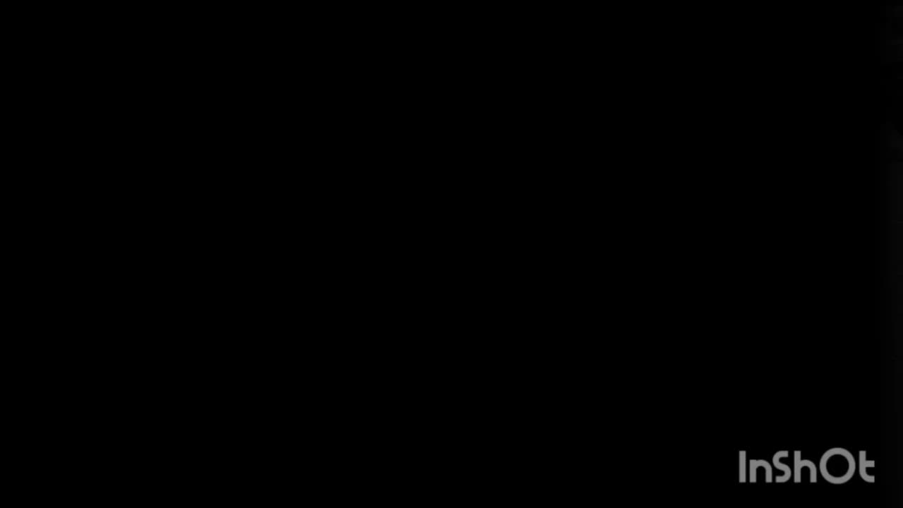 شیشه دودی  اقتصادی فقط و فقط از ۸۹۰ امریکایی|خدمات موتور و ماشین|بوشهر, |دیوار