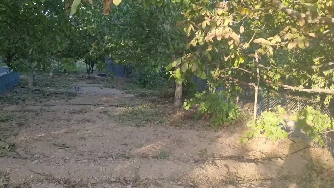 باغ گردو و میوه محصور|فروش زمین و ملک کلنگی|شهرکرد, |دیوار