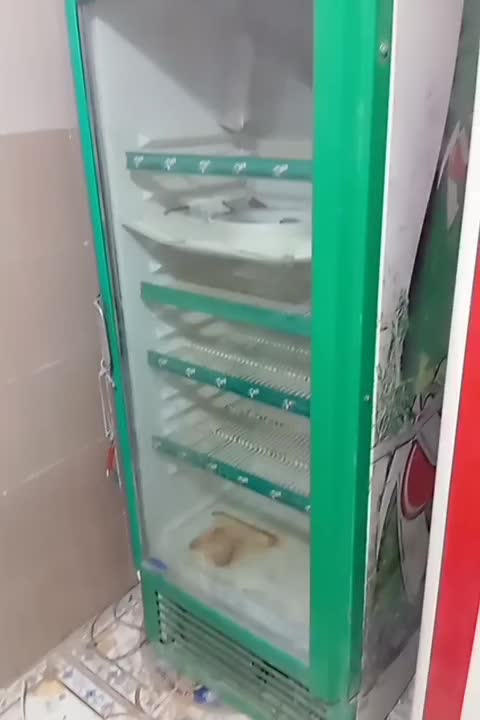 یخچال یک دره سالم|یخچال و فریزر|زهک, |دیوار