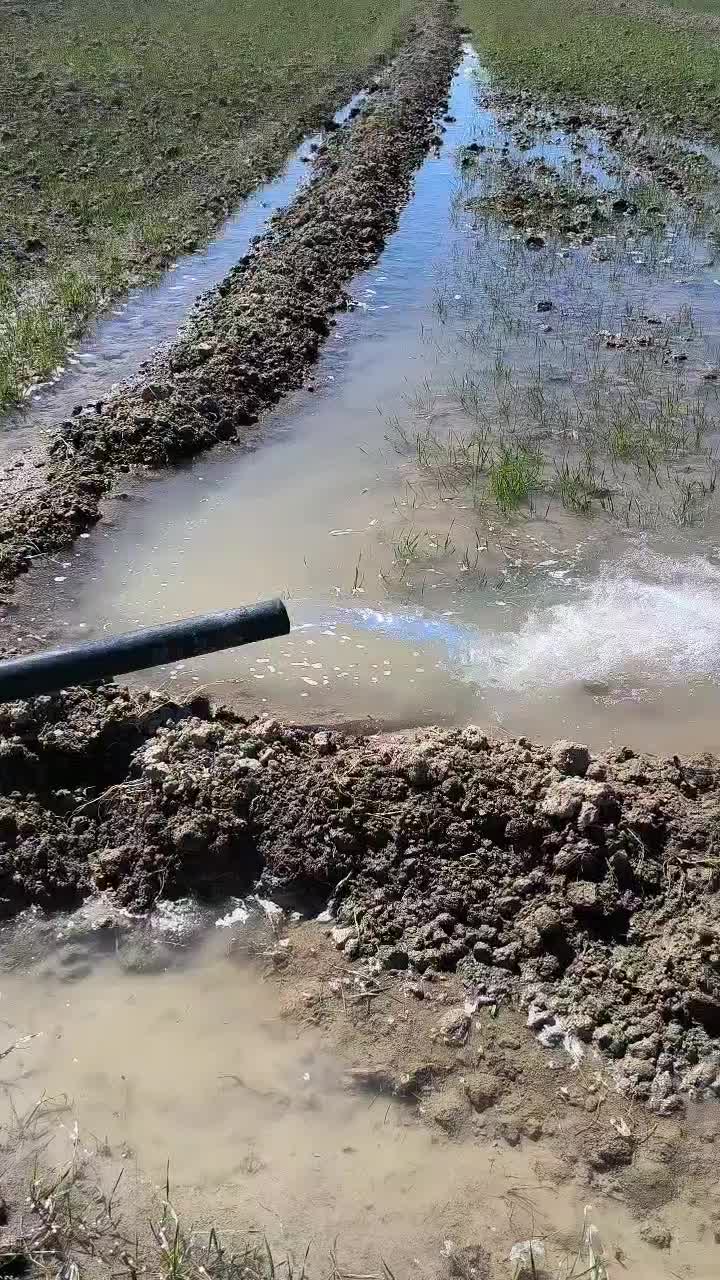 برق خورشیدی پرژوکتور خورشیدی|خدمات پیشه و مهارت|مرودشت, ابوذر شمالی|دیوار