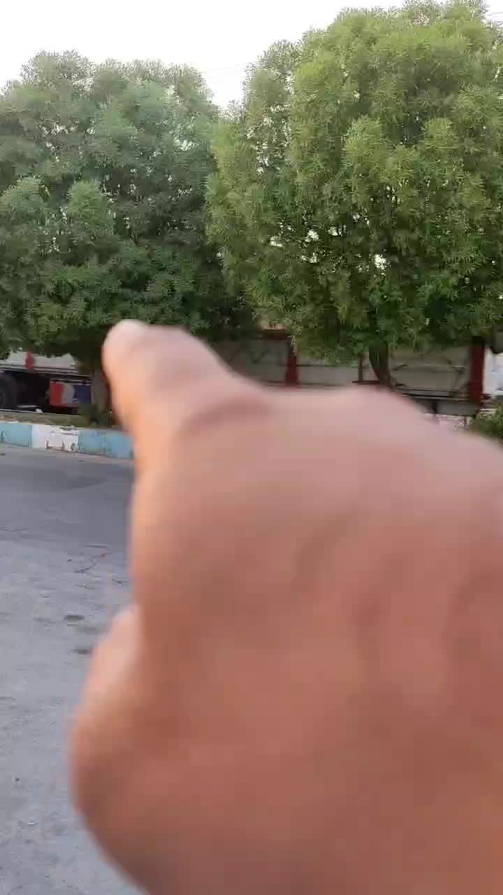 مغازه میوه و تره بار|اجارهٔ مغازه و غرفه|ایرانشهر, |دیوار