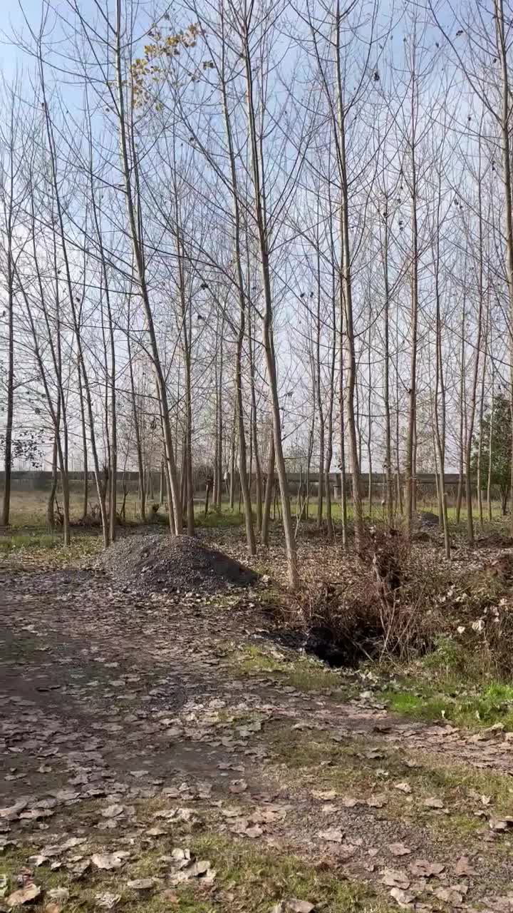 ویلاقدیمی۱۰۰متربنا/۹۰۰مترزمین مسکونی/صفرابسته|فروش خانه و ویلا|آستانه اشرفیه, |دیوار