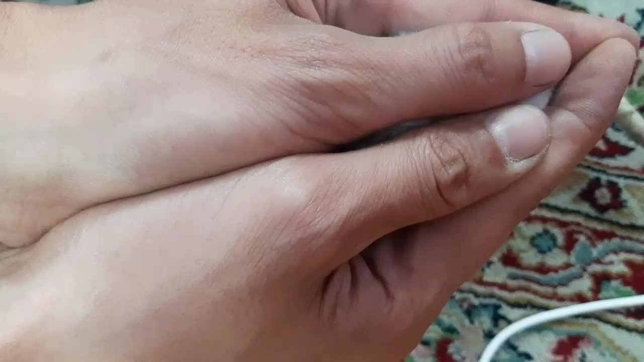 همستر کمپل|موش و خرگوش|پاکدشت, حصار امیر|دیوار
