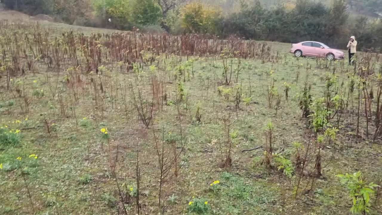 ۶۰۰متر زمین باغی شیرکوه رحمت اباد|فروش زمین و ملک کلنگی|توتکابن, |دیوار