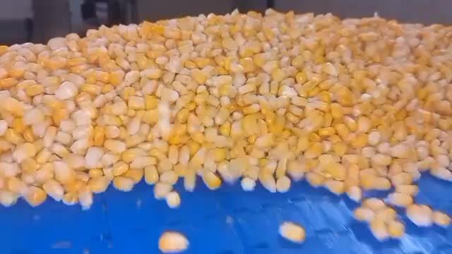 ذرت شیرین،ذرت شیرین یخ زده|خوردنی و آشامیدنی|تهران, شهرک فرهنگیان|دیوار