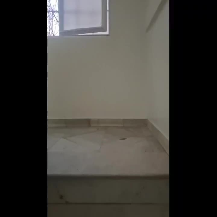 46 متر نقلی|فروش آپارتمان|تهران, قلمستان|دیوار