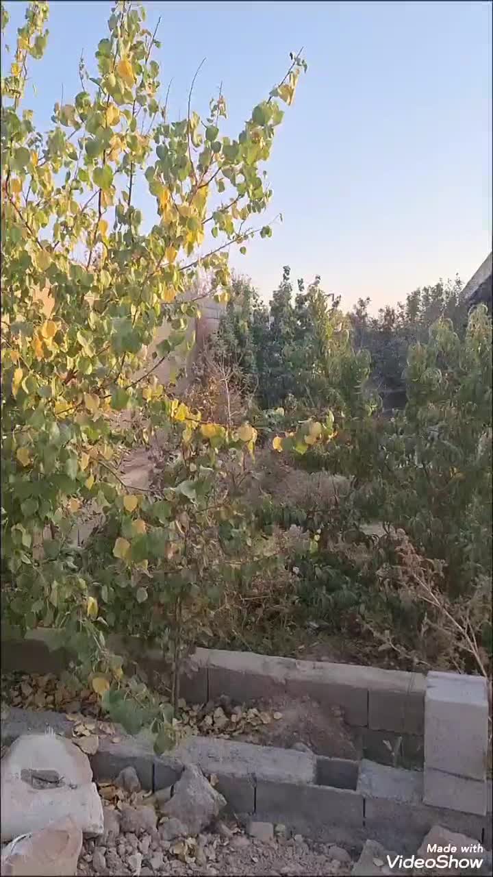 فروش باغ 550 متری|فروش خانه و ویلا|اصفهان, کارلادان|دیوار