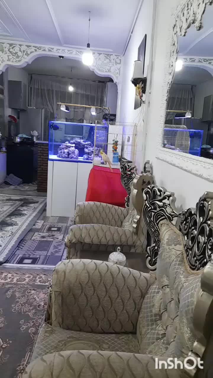 منزل دو طبقه جنوبی|فروش خانه و ویلا|قم, شهرک امام حسین|دیوار