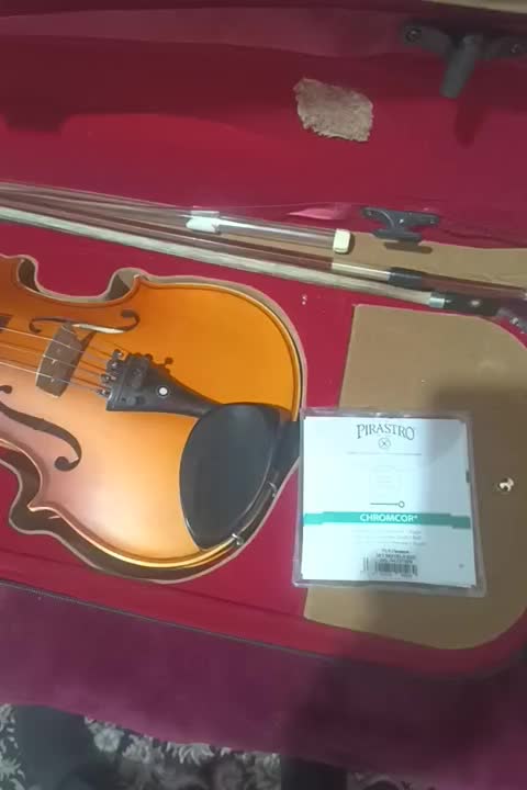 فروش ویالن|ویولن|یاسوج, |دیوار