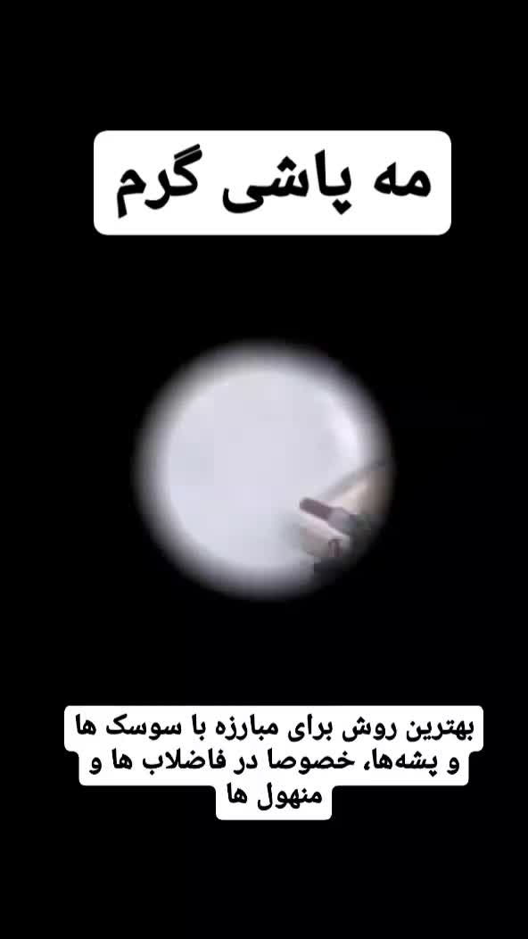 (شرکت سمپاشی تضمینی با32سال سابقه سم پاشی)|خدمات نظافت|زاهدان, |دیوار